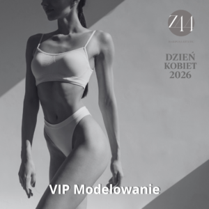 Pakiet VIP Modelowanie
